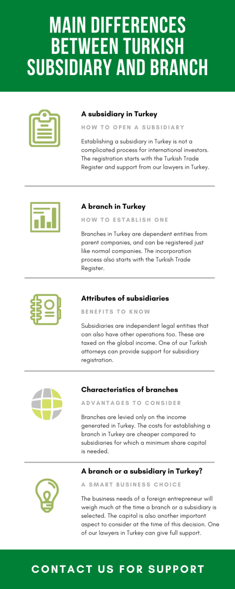 main-differences-between-turkish-subsidiary-and-branch1.png
